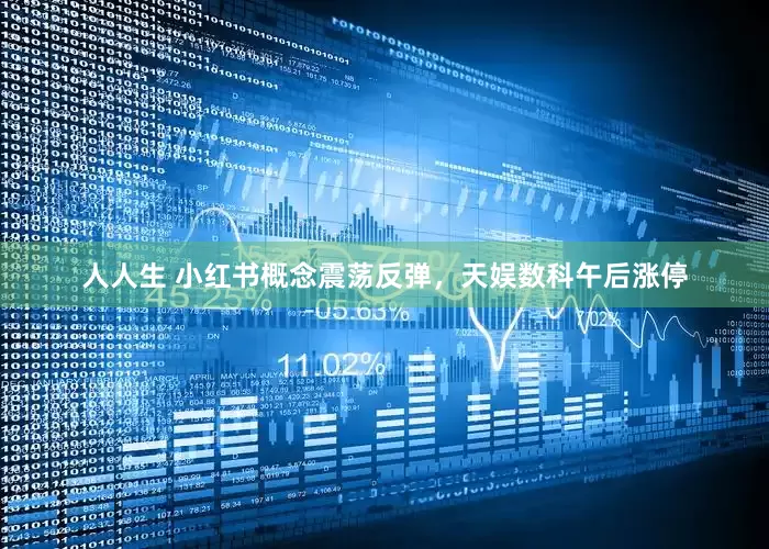 人人生 小红书概念震荡反弹，天娱数科午后涨停