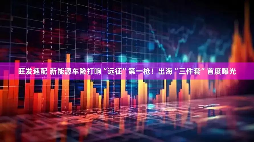 旺发速配 新能源车险打响“远征”第一枪！出海“三件套”首度曝光
