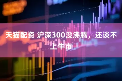 天猫配资 沪深300没沸腾，还谈不上牛市