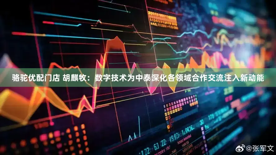 骆驼优配门店 胡麒牧：数字技术为中泰深化各领域合作交流注入新动能