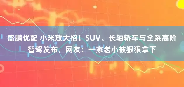 盛鹏优配 小米放大招！SUV、长轴轿车与全系高阶智驾发布，网友：一家老小被狠狠拿下