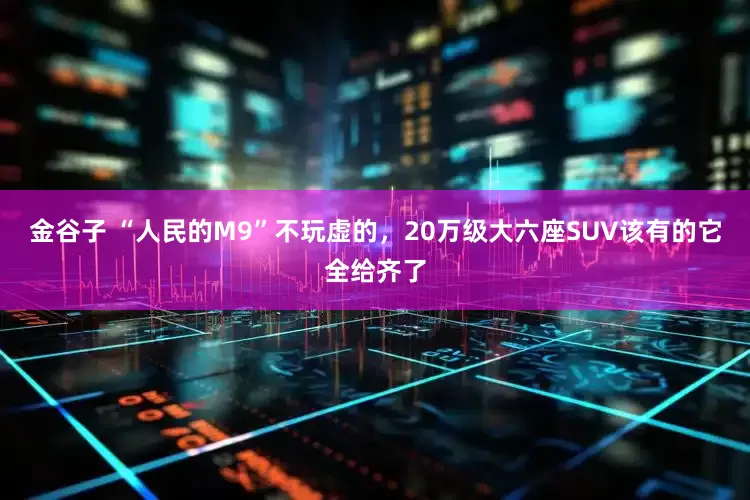 金谷子 “人民的M9”不玩虚的，20万级大六座SUV该有的它全给齐了